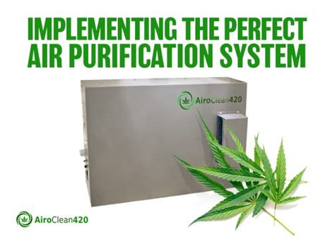 Implementing The Perfect Cannabis Air Purification System Airoclean