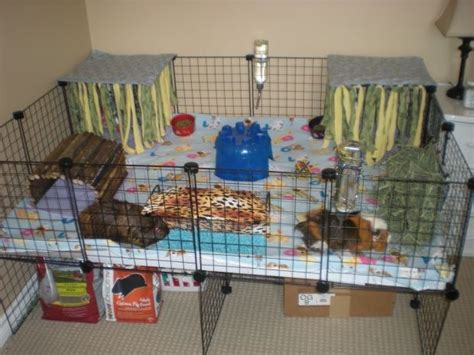 Pin On Guinea Pig Cage Ideas