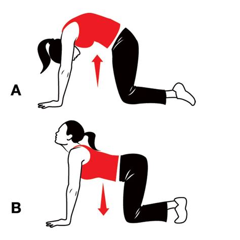 Www.posturevideos.com the advanced cat camel posture exercise targets the muscles in your flanks. Trying this. http://www.womenshealthmag.com/fitness/touch ...