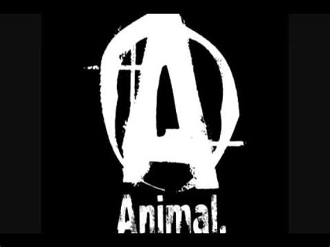 MassiveJoes.com - Universal Nutrition Animal Pak - Multivitamin Nutritional Health Supplements