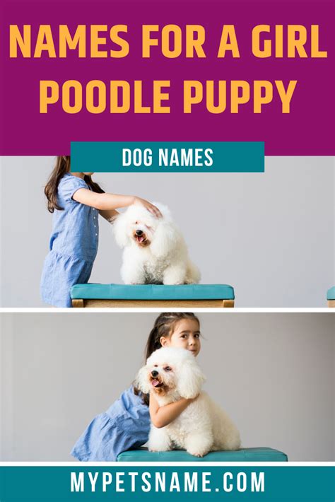 Girl Poodle Names Girl Pet Names Dog Names Poodle