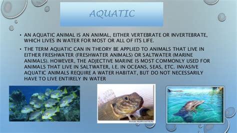 Animals and their habitats upload
