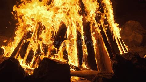 Bonfire Burning At Night In Slow Motion Flames Of Campfire At Nature