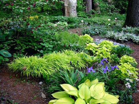 If you have a shady garden corner and need ideas, this plan is complete and easy getting color in shaded garden areas can be a challenge, and having color multiple times throughout spring and summer can be even more difficult. shade perennials zone 7 garden designs foundation shrubs ...
