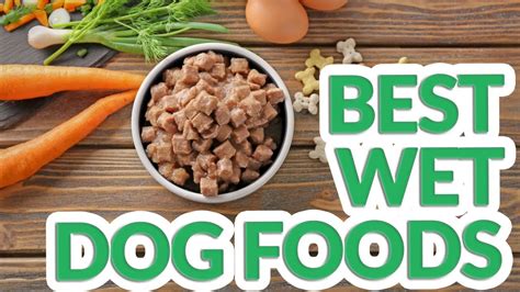 It contains the wholesome protein that's essential for growth, along with all the other important nutrients that are vital for proper. Best Wet Dog Food 2019 - 10 TOP Wet Dog Foods - YouTube