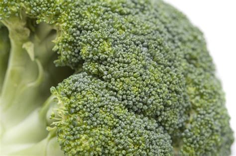 Head Of Fresh Broccoli Free Stock Image