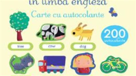 Cartea Primele 100 De Cuvinte In Limba Engleza Carte Cu Autocolante