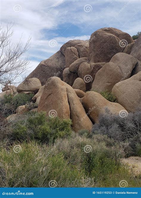 Joshua Tree Desert Hillside Rock Formation Stock Image Image Of Tree