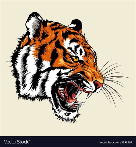 Multi Colors Illustration Of Angry Tiger Head Download A Free Preview