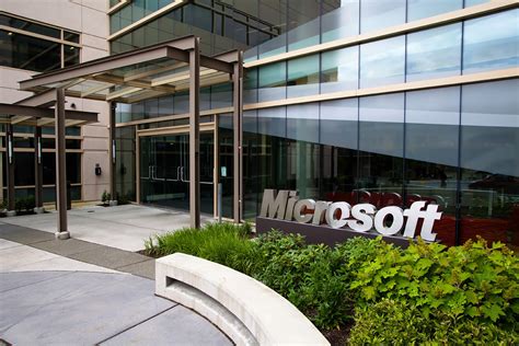 Women Account For 29 Percent Of Microsofts Workforce Windows Central