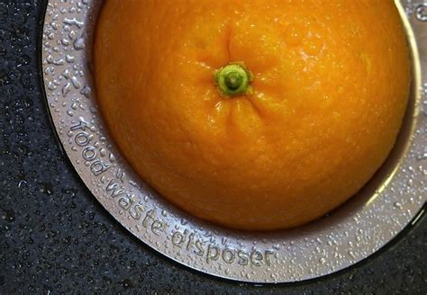 It is sometimes inevitable to have an awful smell in the sink area and this article helps in solving that problem. Garbage Disposal Smell - How to Cure and Prevent Foul ...