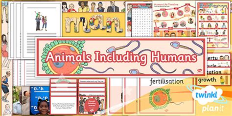 Science Animals Including Humans Year 5 Unit Additional Resources