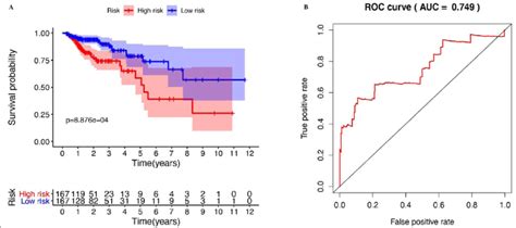 A Kaplan Meier Survival Curve Of High Risk Group And Low Risk Group B