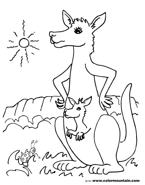 Kangaroo coloring pages to download and print for free