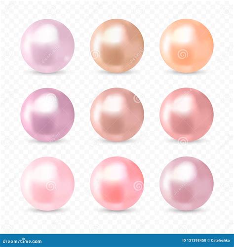 Beautiful Realistic Pink Pearl Collection Stock Vector Illustration
