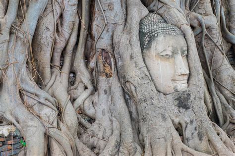Head Buddha In The Tree Rootsat Wat Mahathat Templeayutthaya Stock