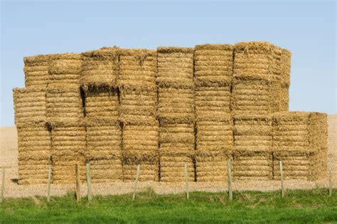 Hay Bale Facts And Figures Sizes Types Costs