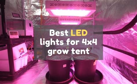 There are a few led grow tent lights planned clearly for 4×4 grow tents. Best led light for 4x4 grow tent of 2020 (Keep Harvest ...