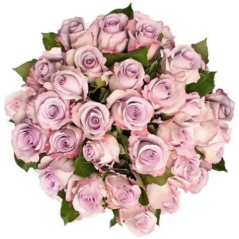 Fresh Cut Lavender Roses 20 Pack Of 75 By Inbloom Group