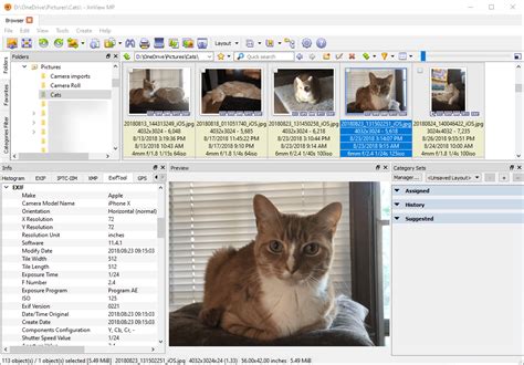 With support for multiple tabs, this straightforward application lets you view images regardless of their format. Xnview Full : XnView Complete V2.49.4 With Full Serial Keys + License ... : Xnview is a free ...