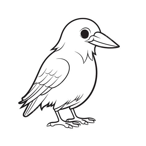 Small Crow Coloring Page Coloring Pages Bird Outline Sketch Drawing