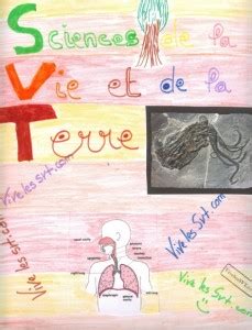 Illustrations du cahier par les 5èmes Vive les SVT Les sciences de