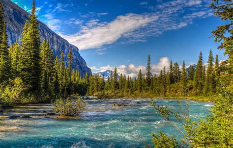 Wallpaper Trees Mountains Nature River Canada Mount Robson