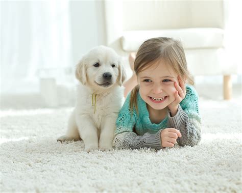 Watching your new puppy and your little one grow up together and form a lifelong bond is a beautiful thing, but managing. Top 10 Best Dogs for Kids: Discover the Friendliest Breeds