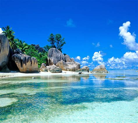 Epic Beach Beach Ocean Palm Paradise Sea Tropical Water Hd