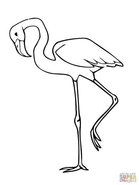 Flamingo Coloring Page Coloring Home