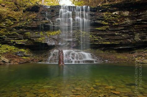 Ricketts Glen State Park Camping