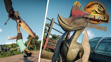 Dsungaripterus All New And Unique Animations Early Cretaceous Pack