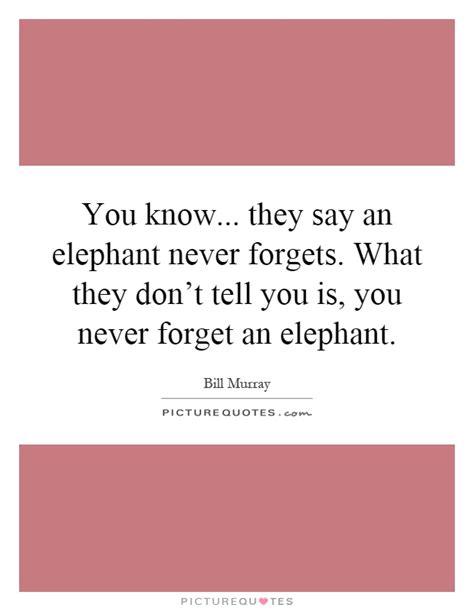 You Know They Say An Elephant Never Forgets What They Dont