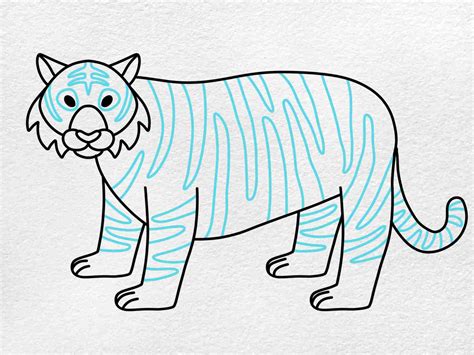 How To Draw A Siberian Tiger Helloartsy