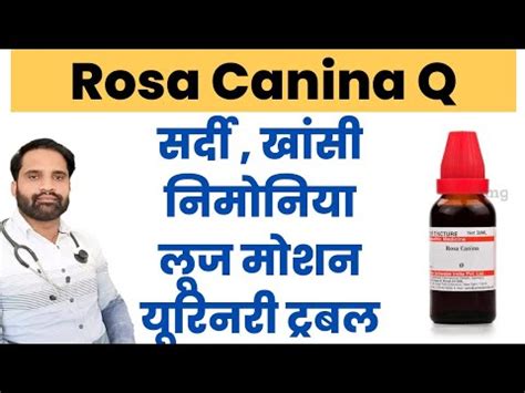 Rosa Canina Q Homeopathic Medicine YouTube