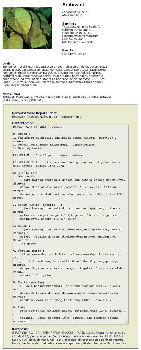 Check spelling or type a new query. 15 Jenis Tanaman Obat Untuk Mengobati Kencing Manis ...