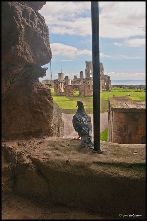 Tynemouth Ruined Priory From The Gatehouse Of Tynemouth Castle Tyne