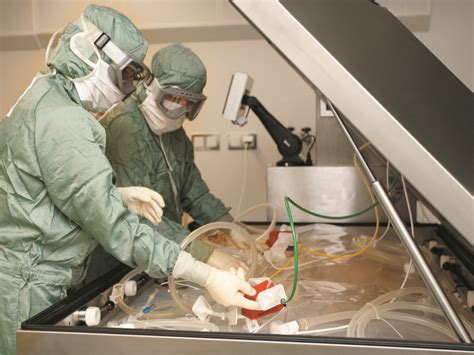 Bavarian nordic a/s is a fully integrated biotechnology company focused on the development, manufacturing and commercialization of cancer im. Bavarian Nordic initiates Phase 2 trial