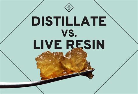 Whats The Difference Between Cannabis Distillate And Live Resin