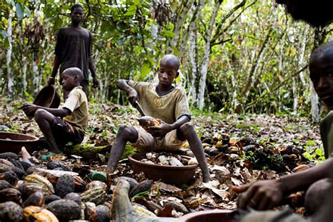 Yet much of the chocolate you buy still starts with child labor. Where to find ethically sourced chocolate candy | The Art ...