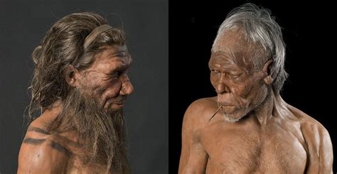 Гипотезам о причинах вымирания неандертальцев несть числа Сожраны