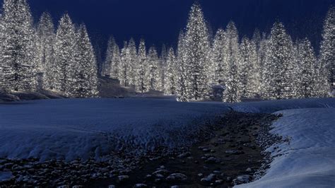 1920x1080 Snow Trees Laptop Full Hd 1080p Hd 4k Wallpapers Images