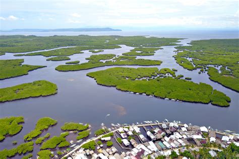 Siargao Town Recognized As Best Mangrove Site In The Philippines