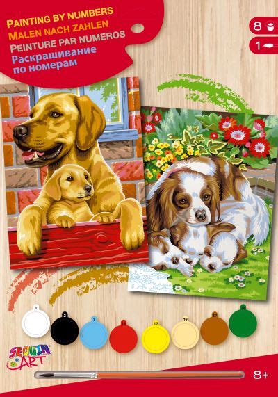 Junior Painting By Numbers Dogs Twin Pack Call Us For Help And