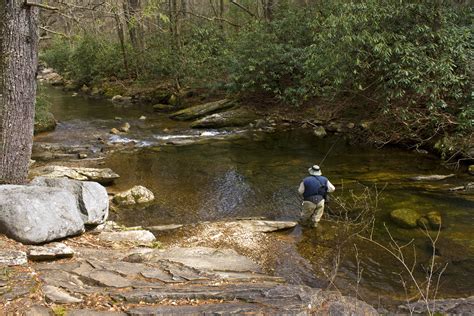 Trout Fishing In The South Mountains Shutterbug