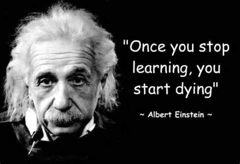 Life Never Stops Teaching So Never Stop Learning Albert Einstein