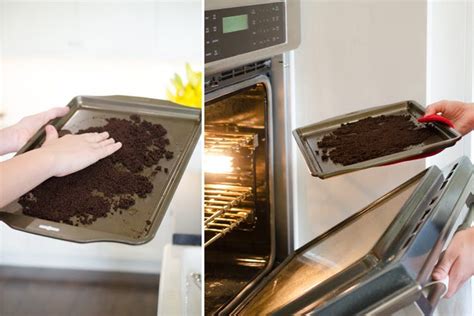 9 Reasons Why You Shouldnt Throw Away Used Coffee Grounds The Krazy