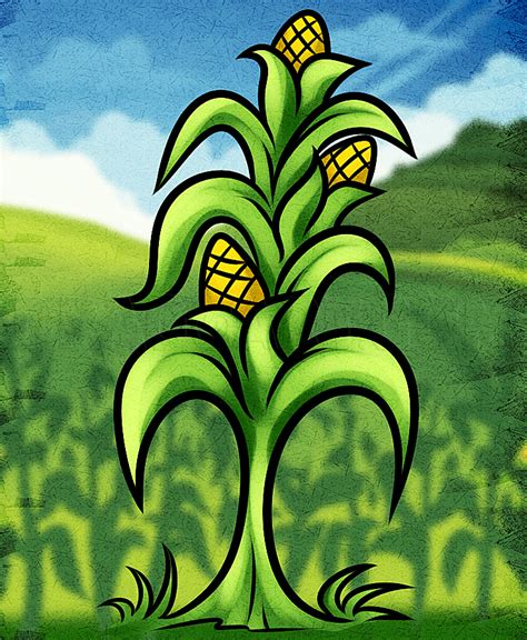 How To Draw A Corn Plant Step By Step At Drawing Tutorials