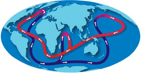 Ciencia Corrientes Oceánicas Fuente De Vida En La Tierra La Crónica