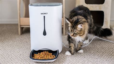 Wopet Automatic Pet Feeder Setup And Review Youtube